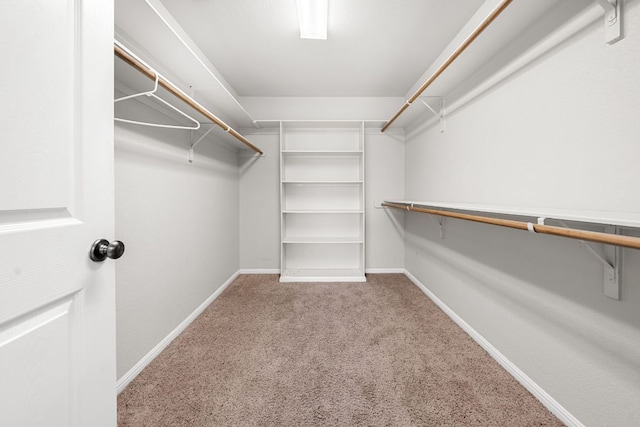 110 Starlight Trl, Georgetown, TX 78633 - spacious closet featuring carpet floors