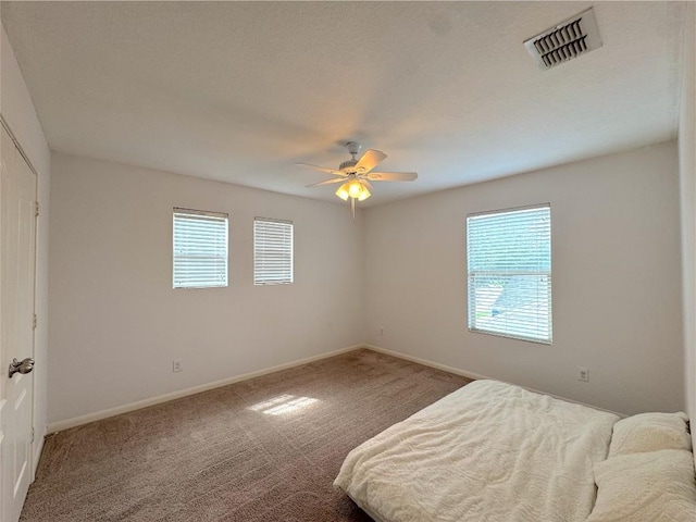 209 Town Creek Way, Cibolo, TX 78108 - photo 18