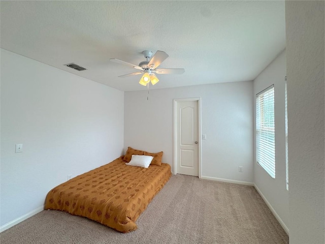209 Town Creek Way, Cibolo, TX 78108 - photo 15
