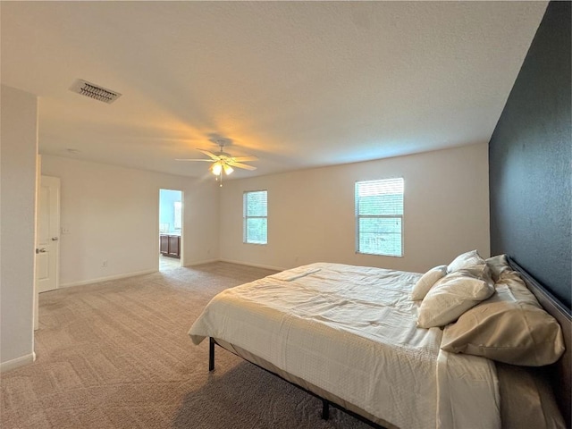 209 Town Creek Way, Cibolo, TX 78108 - photo 9