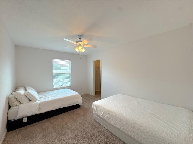 209 Town Creek Way, Cibolo, TX 78108 - photo 16