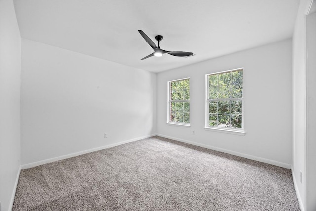 20420 Kearney Hill Rd, Pflugerville, TX 78660 - photo 25