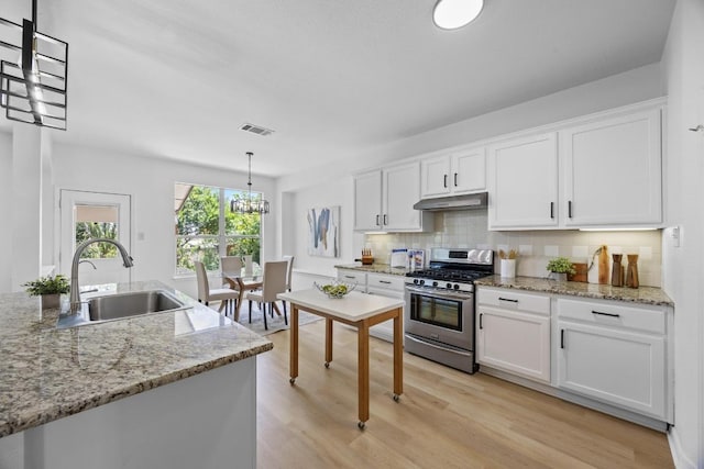 20420 Kearney Hill Rd, Pflugerville, TX 78660 - kitchen with stainless steel gas range, a sink, under cabinet range hood, light wood-style floors, and white cabinetry