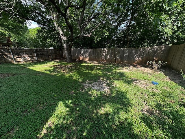 8429 Steamline Cir, Austin, TX 78745 - view of yard