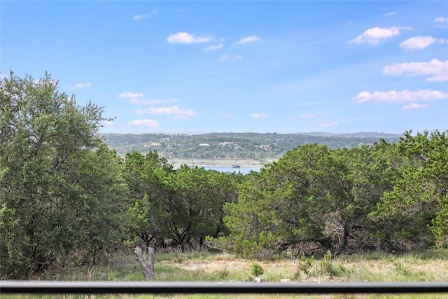 18700 Venture Dr, Point Venture, TX 78645 - mountain view featuring a forest