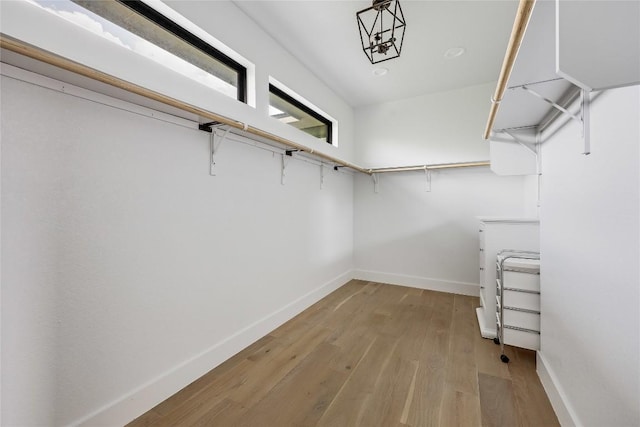 18700 Venture Dr, Point Venture, TX 78645 - walk in closet featuring light wood-style flooring