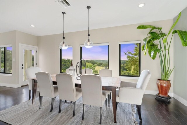19407 White Horse Cv, Spicewood, TX 78669 - dining space featuring wood finished floors, plenty of natural light, and recessed lighting