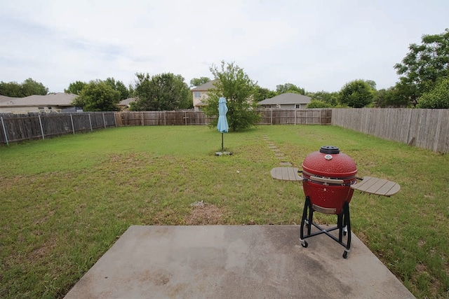 2723 Moonmist Cv, Round Rock, TX 78665 - fenced backyard with a patio area