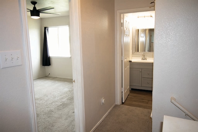 2723 Moonmist Cv, Round Rock, TX 78665 - hall featuring carpet and a sink