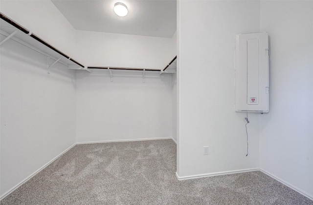 102 George Kimble Cv, Bastrop, TX 78602 - walk in closet with carpet flooring