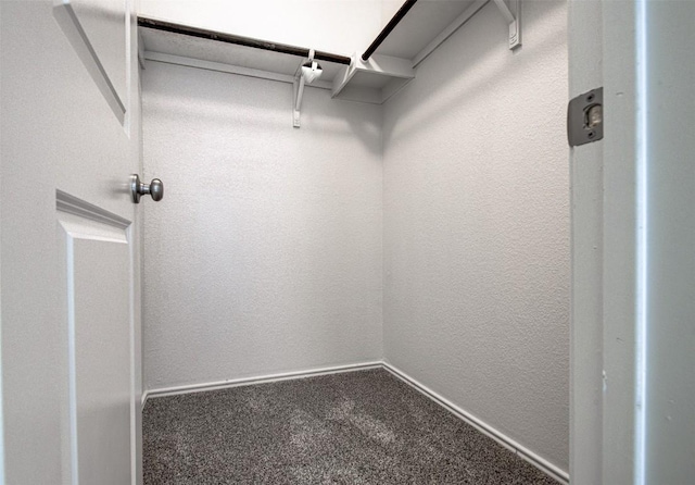 102 George Kimble Cv, Bastrop, TX 78602 - spacious closet featuring carpet floors