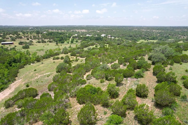 831 Hidden Creek Dr, Dripping Springs, TX 78620 - photo 13