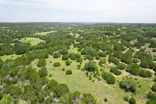 831 Hidden Creek Dr, Dripping Springs, TX 78620 - photo 11