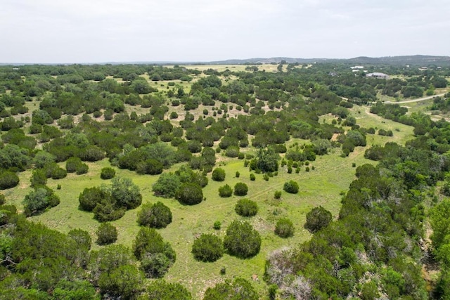 831 Hidden Creek Dr, Dripping Springs, TX 78620 - photo 12