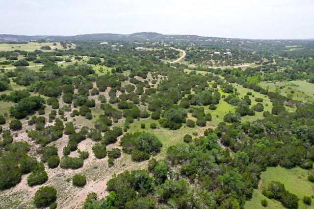 831 Hidden Creek Dr, Dripping Springs, TX 78620 - photo 15