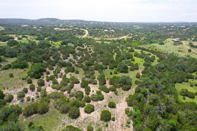 831 Hidden Creek Dr, Dripping Springs, TX 78620 - photo 16