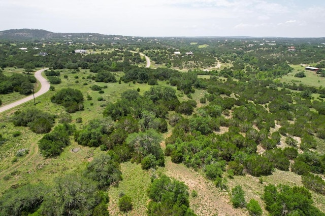 831 Hidden Creek Dr, Dripping Springs, TX 78620 - photo 17