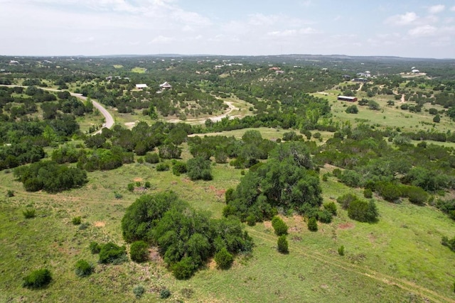 831 Hidden Creek Dr, Dripping Springs, TX 78620 - photo 5