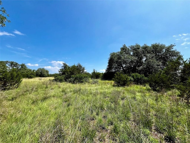 831 Hidden Creek Dr, Dripping Springs, TX 78620 - photo 7