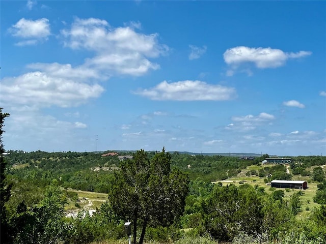 831 Hidden Creek Dr, Dripping Springs, TX 78620 - photo 8