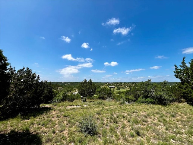 831 Hidden Creek Dr, Dripping Springs, TX 78620 - photo 9