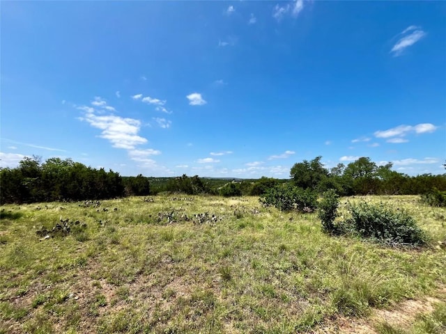831 Hidden Creek Dr, Dripping Springs, TX 78620 - photo 10