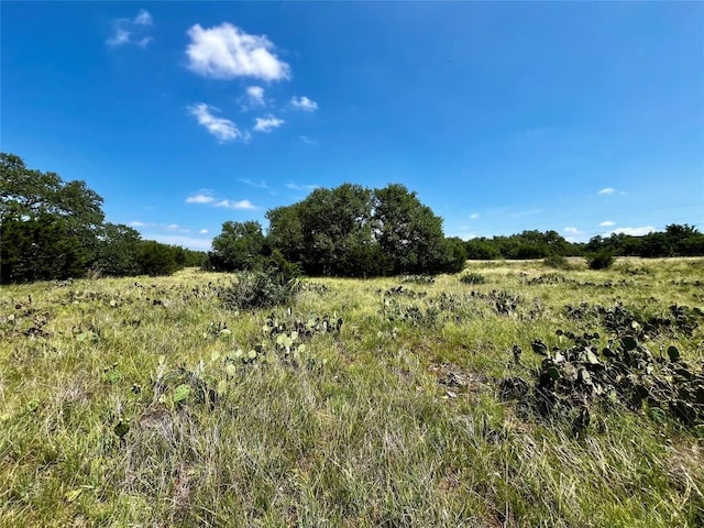 831 Hidden Creek Dr, Dripping Springs, TX 78620 - photo 19