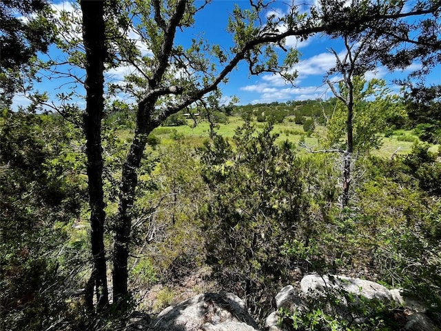 831 Hidden Creek Dr, Dripping Springs, TX 78620 - photo 24