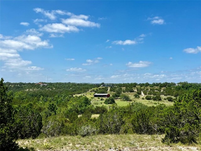 831 Hidden Creek Dr, Dripping Springs, TX 78620 - photo 6