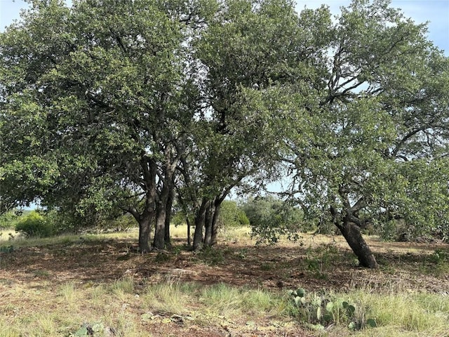 831 Hidden Creek Dr, Dripping Springs, TX 78620 - photo 26