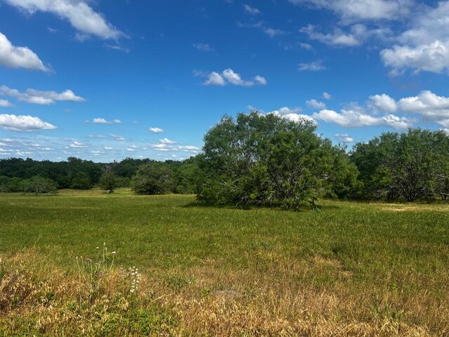 LOT5 High Meadow Ct E, Schulenburg, TX 78956 - photo 2
