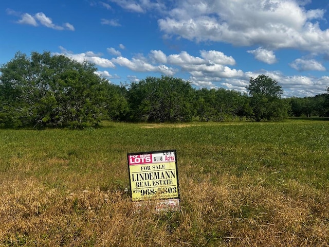 LOT5 High Meadow Ct E, Schulenburg, TX 78956 - photo 3