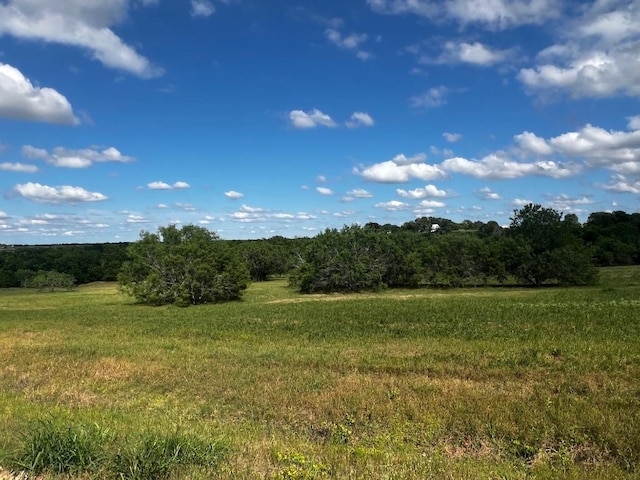 LOT5 High Meadow Ct E, Schulenburg, TX 78956 - photo 4