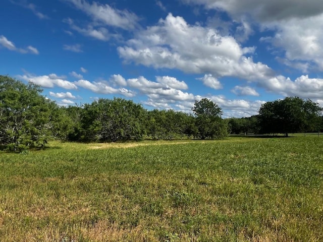 LOT5 High Meadow Ct E, Schulenburg, TX 78956 - photo 5