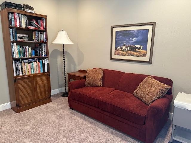21912 Rock Wren Rd, Spicewood, TX 78669 - living room featuring carpet flooring and baseboards