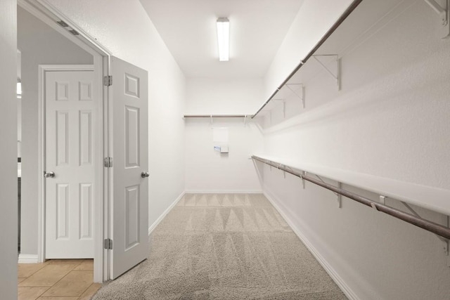 495 Catalina Ln, Austin, TX 78737 - spacious closet with light colored carpet
