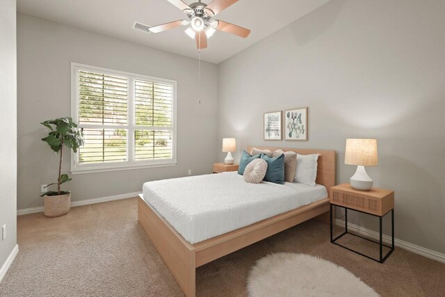 495 Catalina Ln, Austin, TX 78737 - photo 30