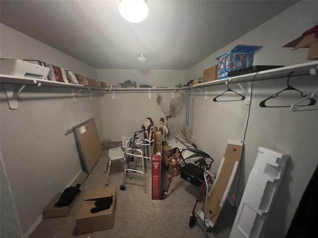 2425 Arctic Warbler, New Braunfels, TX 78130 - view of storage room