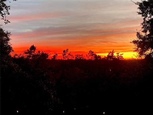5801 Taylor Draper Cv, Austin, TX 78759 - view of nature at dusk