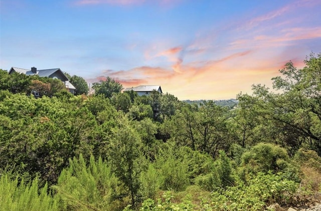 0000 Chisholm Trl, Spicewood, TX 78669 - photo 9