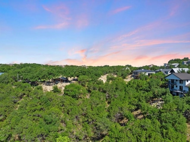 0000 Chisholm Trl, Spicewood, TX 78669 - photo 10