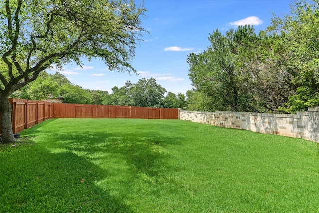 12505 Stapp Ct, Austin, TX 78732 - view of yard