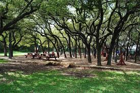 12505 Stapp Ct, Austin, TX 78732 - view of surrounding community
