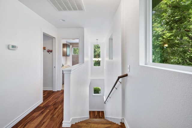 3407 Banton Rd Unit A, Austin, TX 78722 - staircase featuring wood finished floors and baseboards