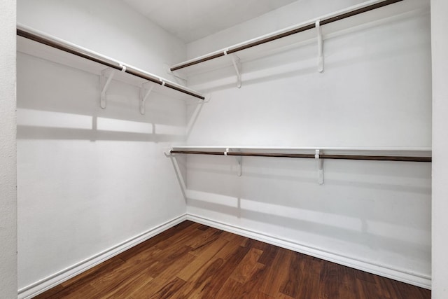 3407 Banton Rd Unit A, Austin, TX 78722 - walk in closet with dark wood-style flooring