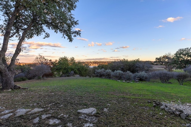 219 Venture Blvd S, Point Venture, TX 78645 - view of green lawn