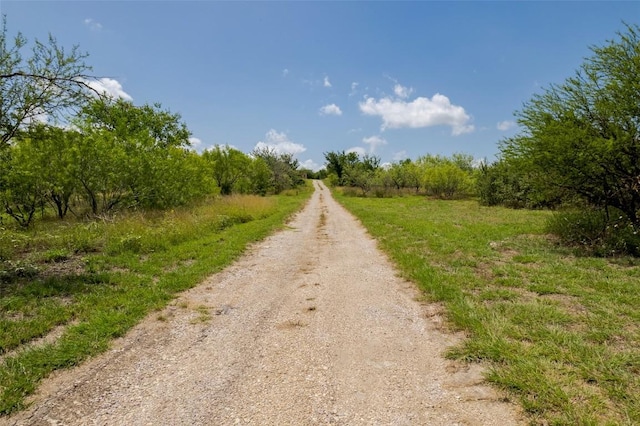 474 Heidenreich Ln, Kyle, TX 78640 - photo 13