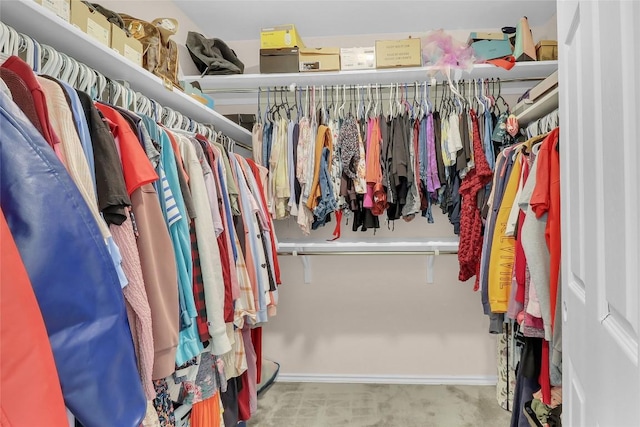 351 Jarbridge Dr, Kyle, TX 78640 - view of spacious closet