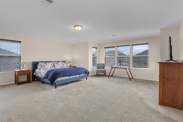 351 Jarbridge Dr, Kyle, TX 78640 - bedroom featuring multiple windows and carpet