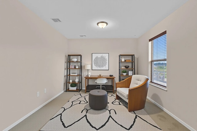 351 Jarbridge Dr, Kyle, TX 78640 - sitting room with baseboards and carpet flooring